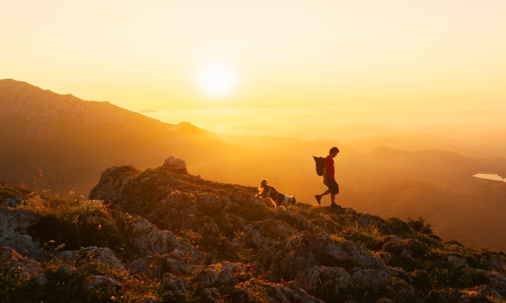 Una-metrica-pasada-por-alto-que-podria-transformar-el-valor-de-su-empresa-scaled